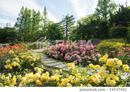 Tougo公園 Tougo公園 54537402