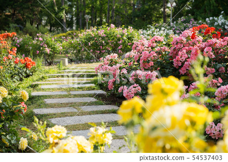 Tougo公園 Tougo公園 54537403