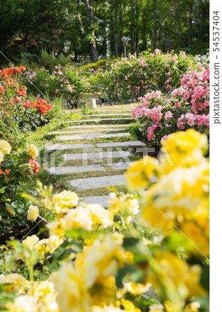 Tougo公園 Tougo公園 54537404