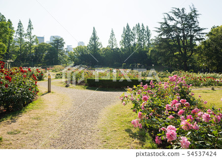 Tougo park Tougo park 54537424