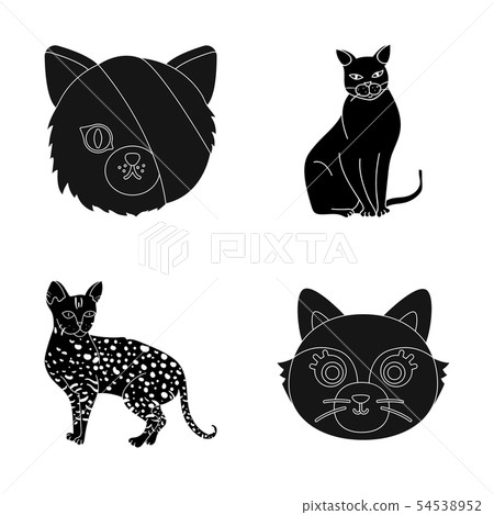 Vector illustration of pet and sphynx sign. Set of pet and fun stock vector illustration. Vector illustration of pet and sphynx sign. Set of pet and fun stock vector illustration. 54538952