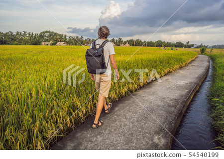 Male tourist with a backpack goes on the rice field Male tourist with a backpack goes on the rice field 54540199