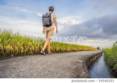 Male tourist with a backpack goes on the rice field Male tourist with a backpack goes on the rice field 54540201