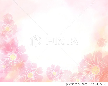Background _ Cosmos pale pink central white 54541592