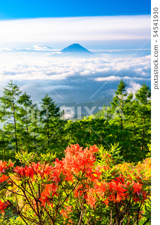 日本富士山圖像 日本富士山圖像 54541930
