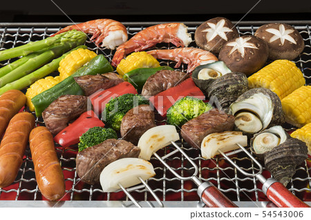 barbecue barbecue 54543006