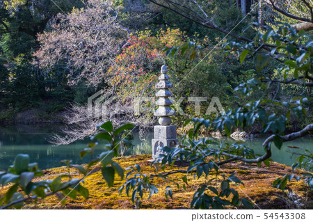 Stone buddha at carvings are in Kinkakuji Temple. 54543308