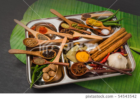 Spice group of Indian food Spice India dish of the curry Spice group of Indian food Spice India dish of the curry 54543542