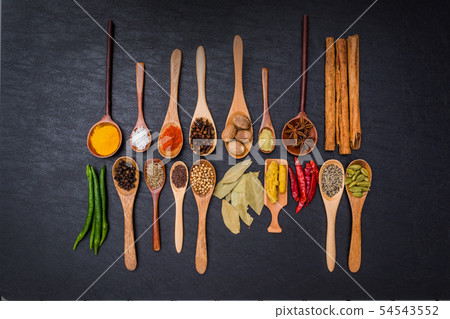 Spice group of Indian food Spice India dish of the curry Spice group of Indian food Spice India dish of the curry 54543552