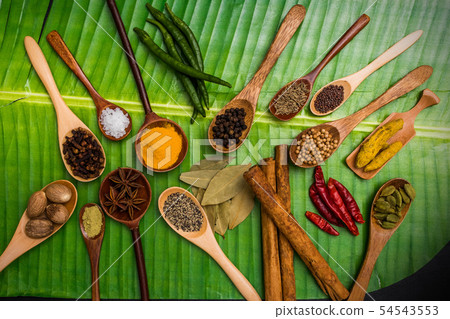 Spice group of Indian food Spice India dish of the curry Spice group of Indian food Spice India dish of the curry 54543553