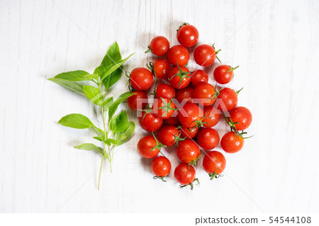 Juicy fresh red tomatoes 54544108