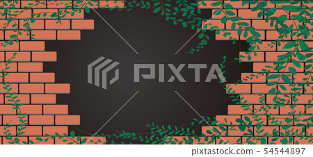 Mexican daisy plant on Wall of bricks and space 54544897