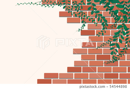 Mexican daisy plant on Wall of bricks and space 54544898