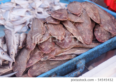 Fresh seafood in blue plastic basket for sale. 54545432