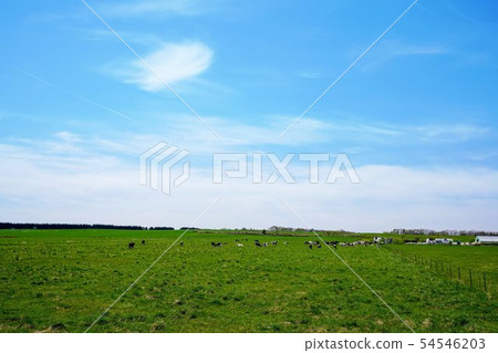 Ranch scenery Ranch scenery 54546203