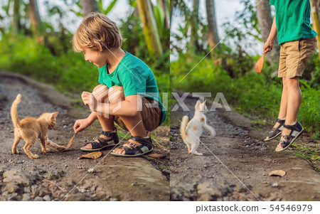 Little boy and little kitten playing outside Little boy and little kitten playing outside 54546979