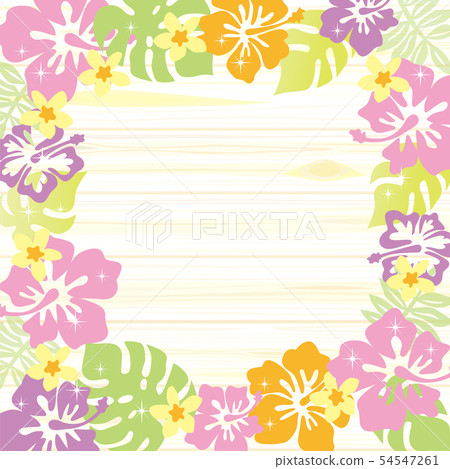 Hibiscus illustration 54547261