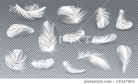 3d realistic set of white feathers 3d realistic set of white feathers 54547863