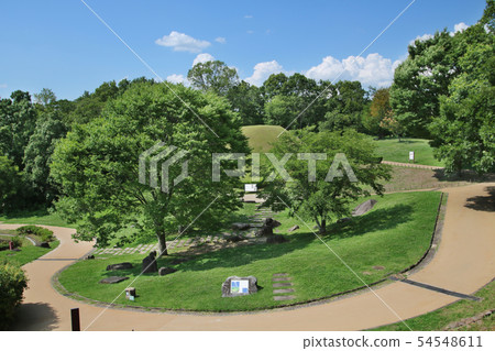 奈良縣Asukamura Takamatsuzuka Kofun 54548611