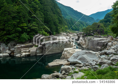 睡覺的地板 54548866