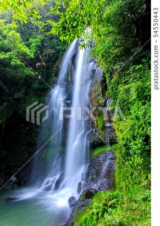 Shimmering green waterfall [Sasebo City, Nagasaki Prefecture] 54550443