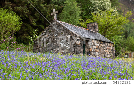 Bluebell fields at St John's Episcopal Church Bluebell fields at St John's Episcopal Church 54552121