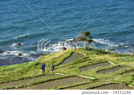 諾托白米senmaida風景 諾托白米senmaida風景 54552246