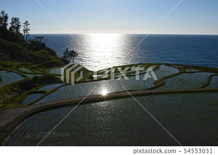 諾托白米senmaida風景 諾托白米senmaida風景 54553031