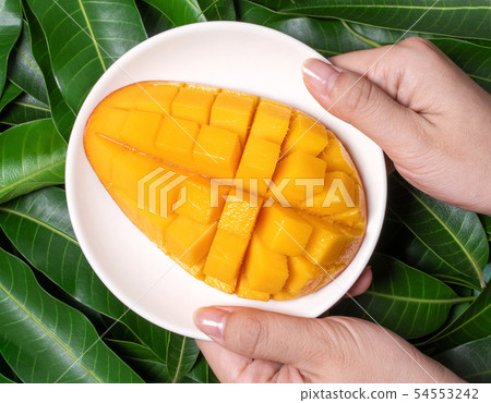 Mango chopped Mango chopped Mango chopped Mango chopped Mango chopped Mango chopped Mango chopped Mango chopped 54553242