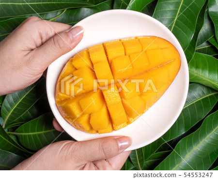 Mango chopped Mango chopped Mango chopped Mango chopped Mango chopped Mango chopped Mango chopped Mango chopped 54553247
