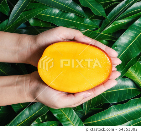 Mandarin slices Mango sliced Mango sliced Mango sliced Mango sliced 54553392