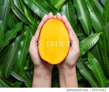 Mandarin slices Mango sliced Mango sliced Mango sliced Mango sliced 54553401