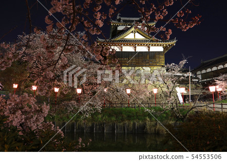 Yamatokoriyama castle ruins, Otute Kousuke and night cherry blossoms "100 best cherry blossom spots in Japan" 54553506