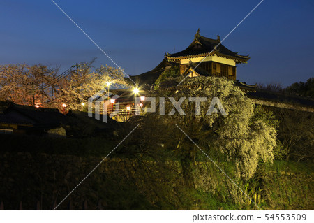Yamatokoriyama castle ruins, Higashisumioi and weeping cherry blossoms / 200 years of age / 100 cherry blossom spots in Japan 54553509