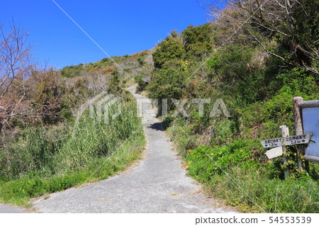 沼島，一個漂浮在淡路島南端的偏遠島嶼/海濱長廊和通向沼島燈塔的新鮮綠化/日本遺產 54553539
