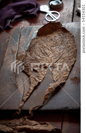 Cigar rolling or making by torcedor in cuba 54554301