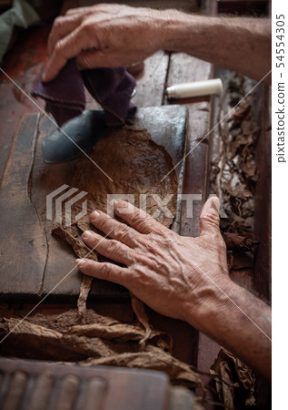 Cigar rolling or making by torcedor in cuba 54554305