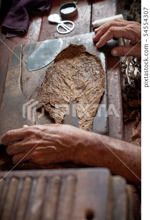 Cigar rolling or making by torcedor in cuba Cigar rolling or making by torcedor in cuba 54554307