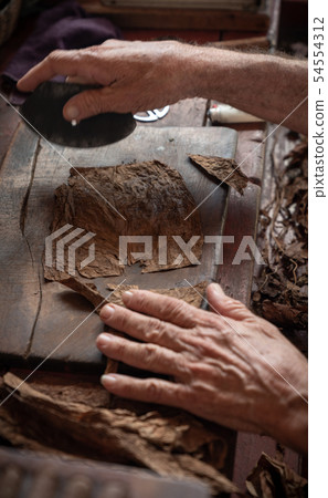 Cigar rolling or making by torcedor in cuba Cigar rolling or making by torcedor in cuba 54554312