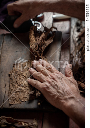 Cigar rolling or making by torcedor in cuba 54554315