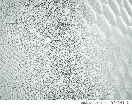 Alligator or crocodile white Leather hexagon 54554336