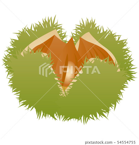 Custard paste Custard paste 54554755