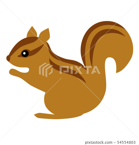 Squirrel Chipmunk Squirrel Chipmunk 54554803