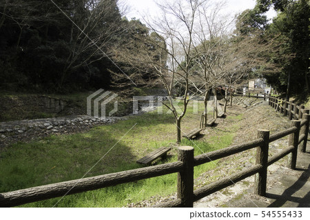 [Koshino city, Osaka Prefecture] Genji no Taki boardwalk park 54555433