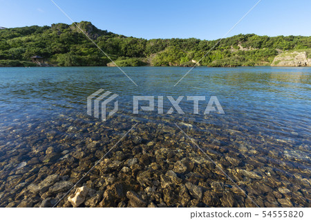 Im Gy marine garden 54555820