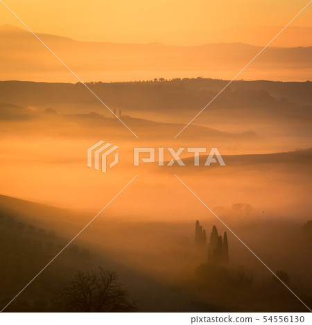 Sunrise at San Quirico d'Orcia 54556130