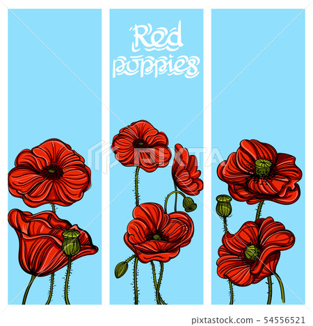 Set of vector vertical banners with hand drawn... - Stock Illustration ...