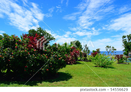 Samoa Upolu Island National Park 54556629