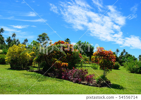 Samoa Upolu Island National Park Samoa Upolu Island National Park 54556714