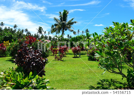 Samoa Upolu Island National Park Samoa Upolu Island National Park 54556715